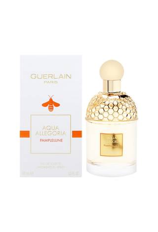 Pamplelune, 100 ml