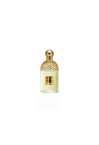 Aqua Allegoria Herba Fresca, 100 ml